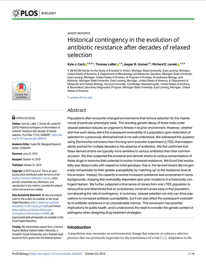 First page of "Historical contingency in the evolution of antibiotic resistance after decades of relaxed selection.", PLoS Biology (2019)