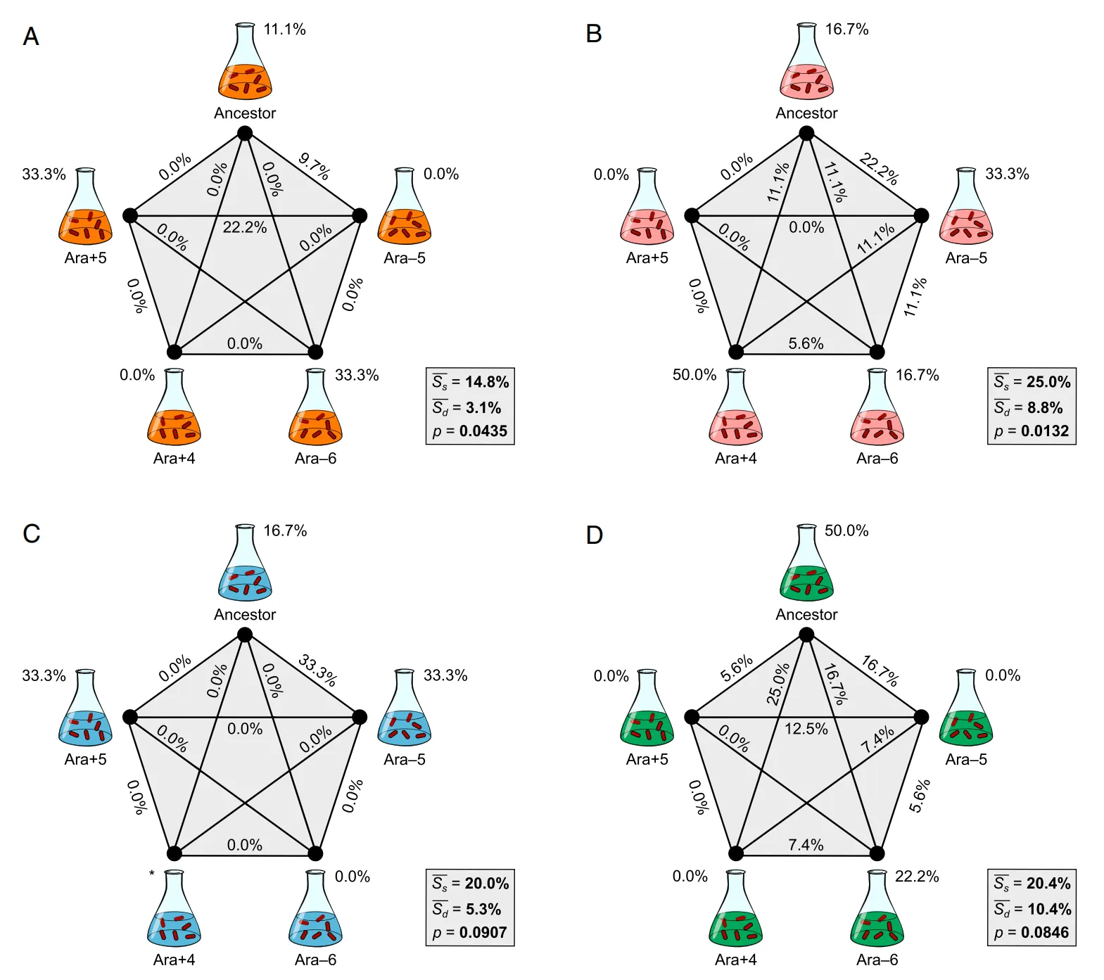 Principal figure from "Genomic evolution of antibiotic resistance is contingent on genetic background following a long-term experiment with Escherichia coli.", Proceedings of the National Academy of Sciences (2021)