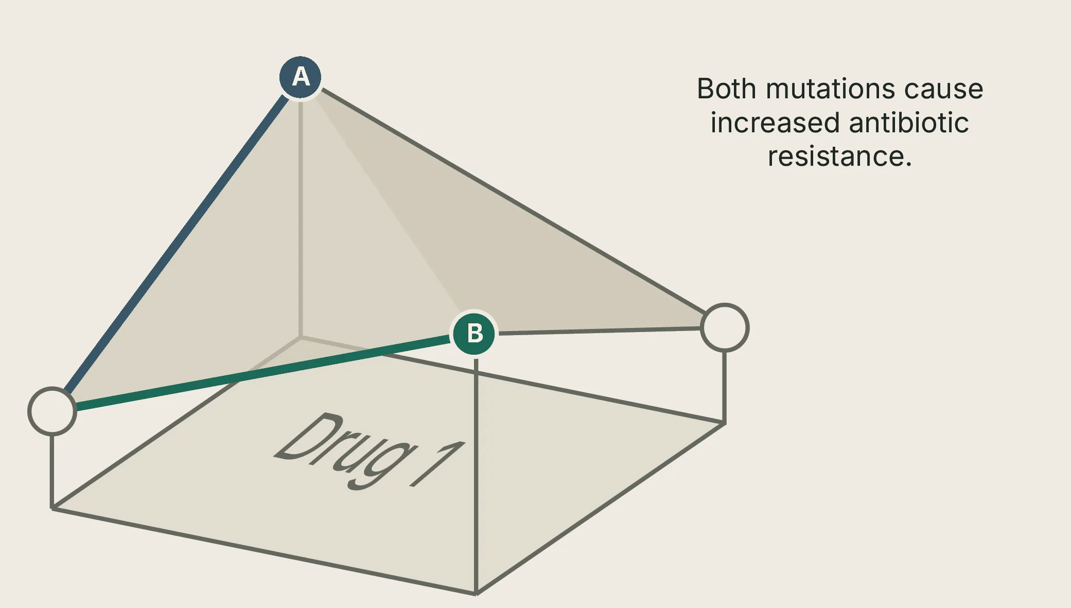 Both single mutations increase resistance under Drug 1.