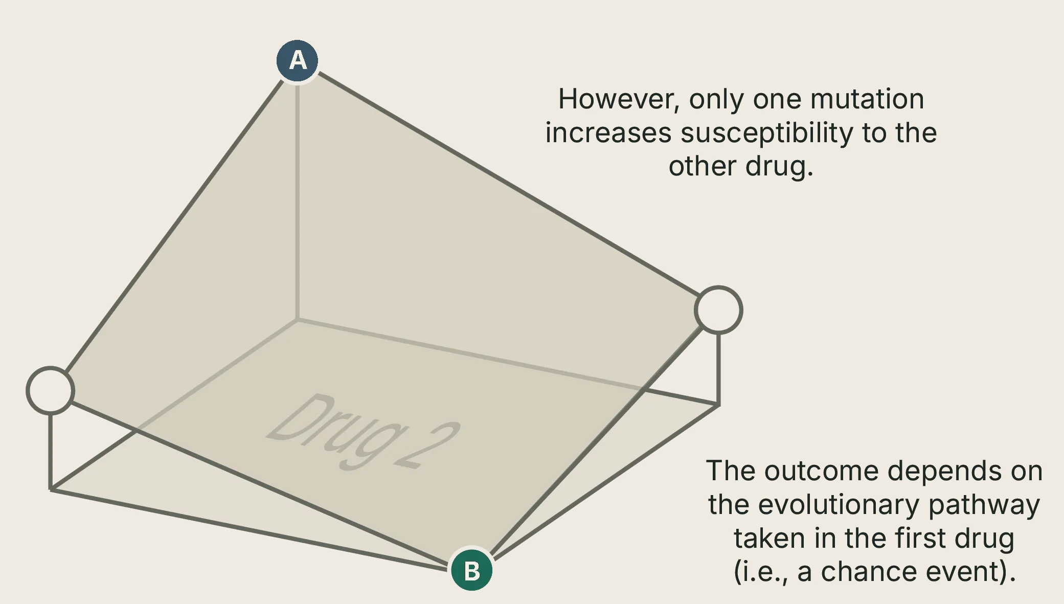 Under Drug 2, only one path stays resistant — chance in the first drug decides the collateral outcome.